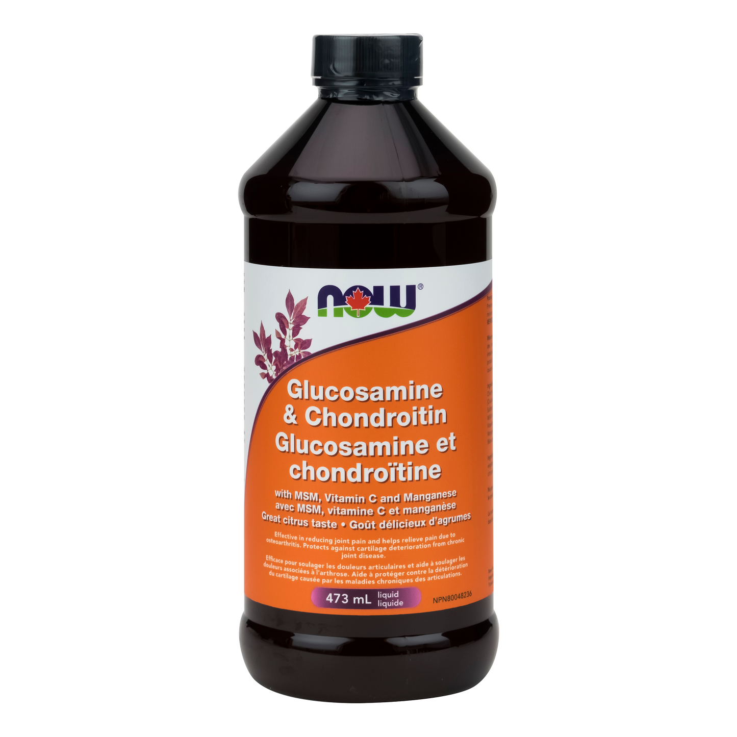 NOW Glucosamine & Chondroitin (Liquid - 473 ml)
