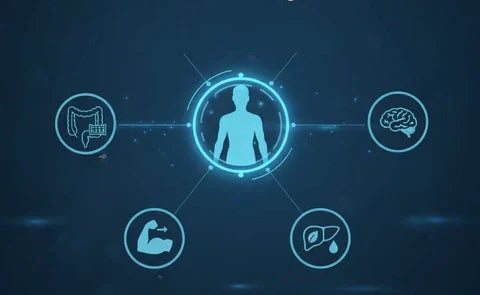 Glutamine: How It Works, Benefits, and Who May Need It