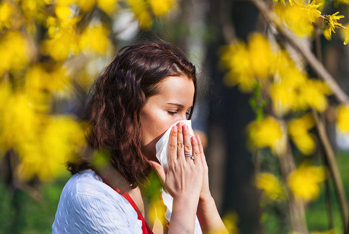 Tips to alleviate spring allergy symptoms