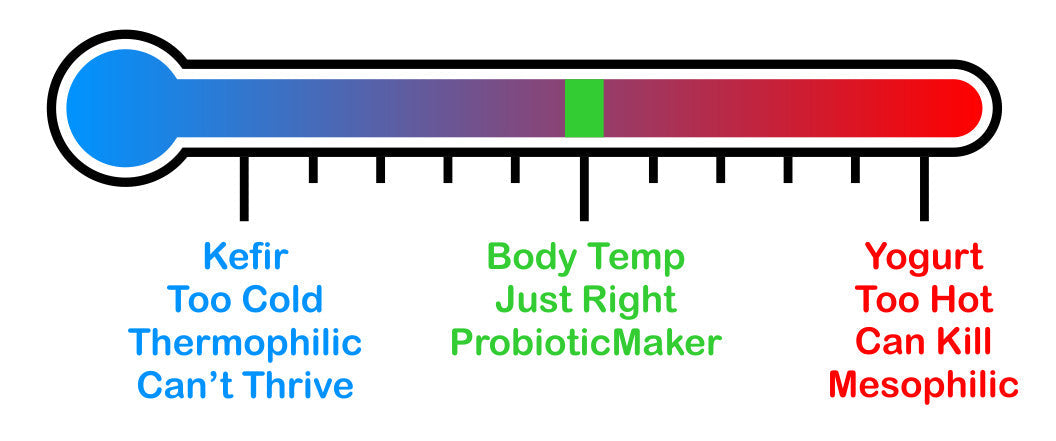 Probiotic Maker