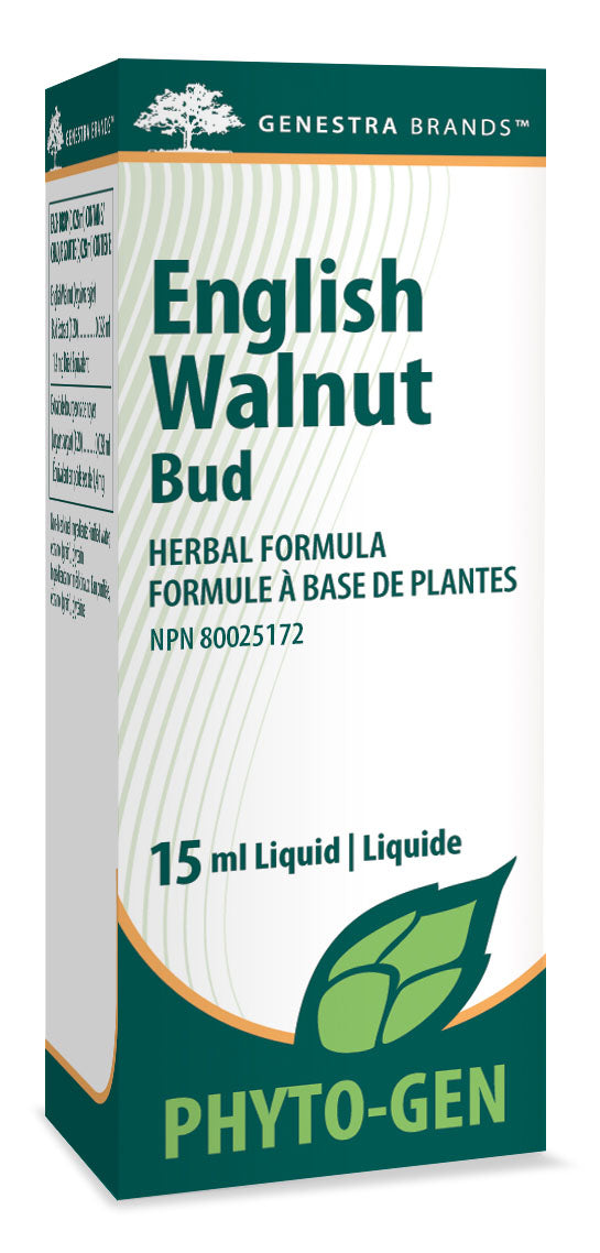 GENESTRA English Walnut Bud (15 ml)