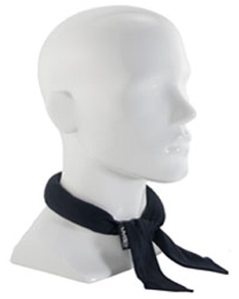 COOL SNAKE Neck Tie Coolers